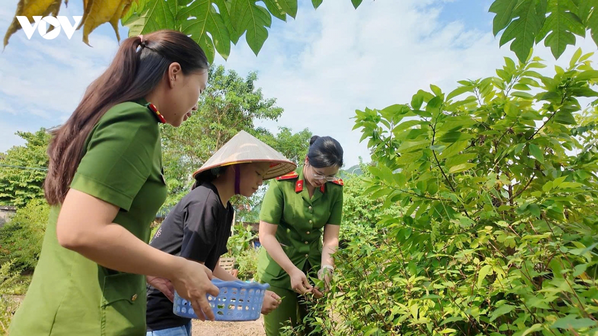 quang ninh dan van kheo bat dau tu nhung viec gan dan hinh anh 2