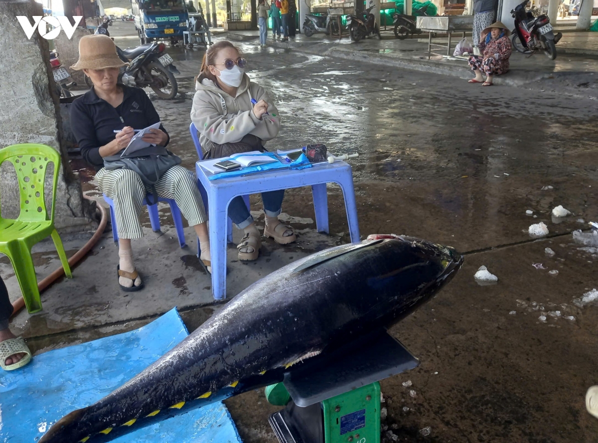 khanh hoa siet chat quan ly, ngan nguy co vi pham iuu hinh anh 3