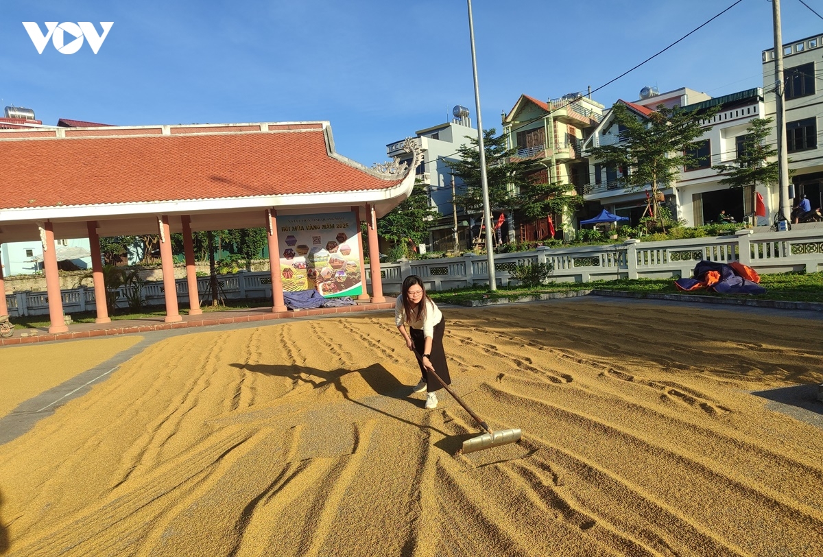 quang ninh nang nang luc can bo co so trong xay dung nong thon moi hinh anh 3