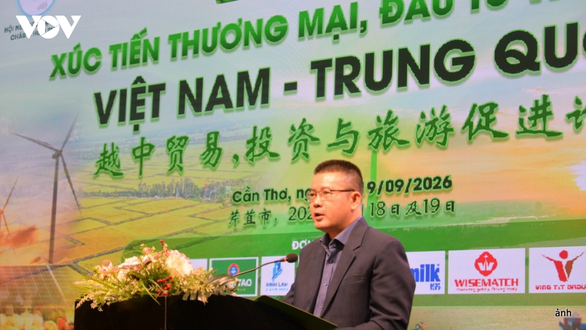can tho seeks deeper investment links with chinese businesses picture 2