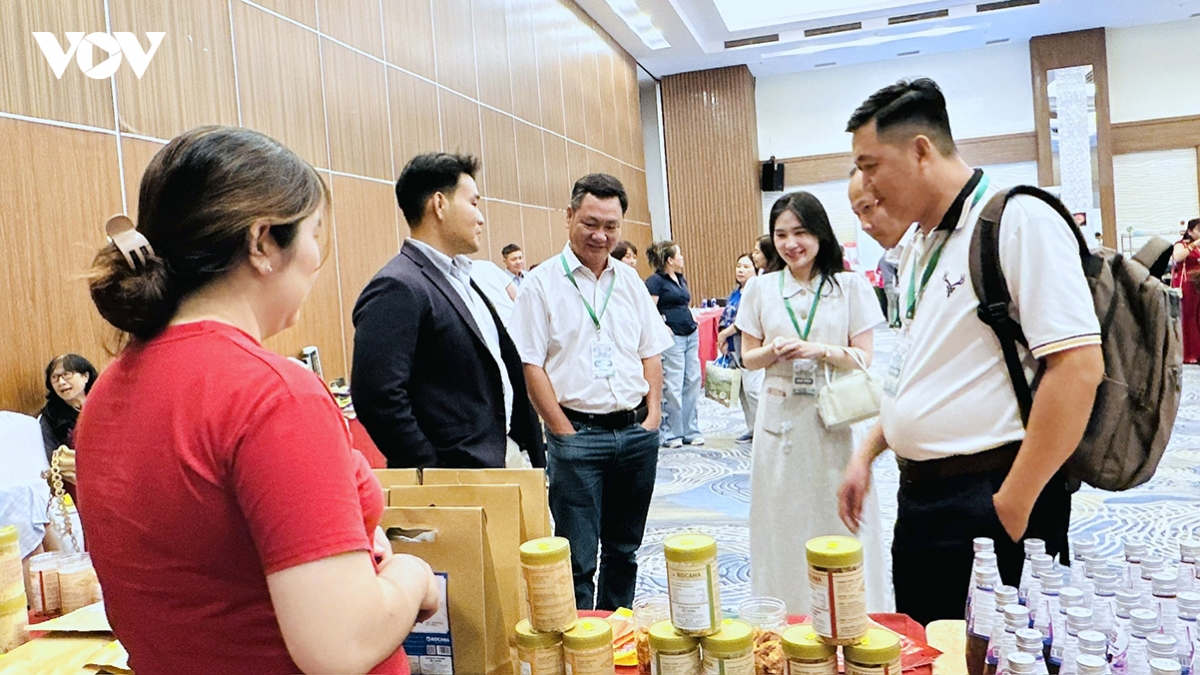can tho seeks deeper investment links with chinese businesses picture 3