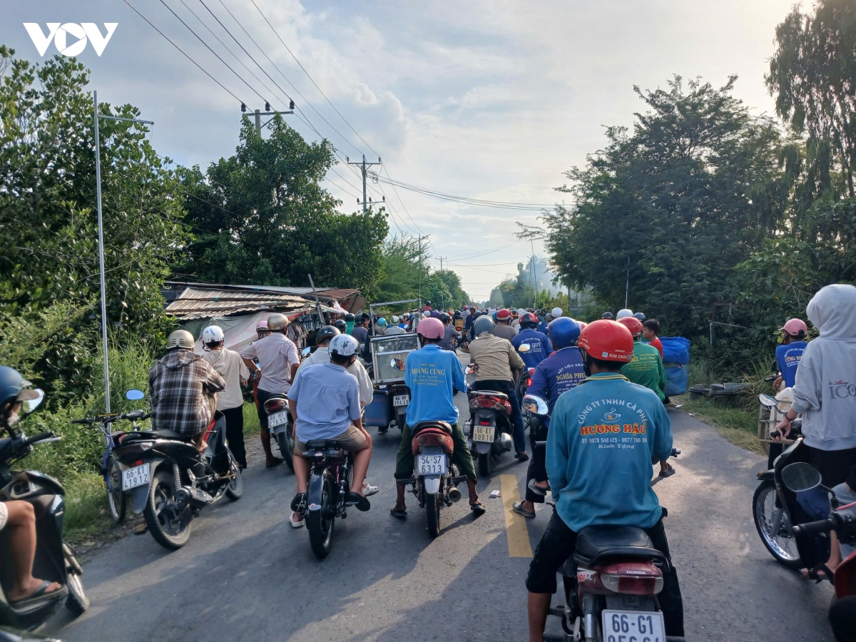 chay nha nuoi chim yen o Dong thap hinh anh 2