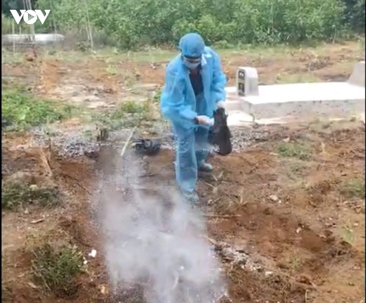 con cho can nhieu nguoi o quang ngai duong tinh voi virus dai hinh anh 1