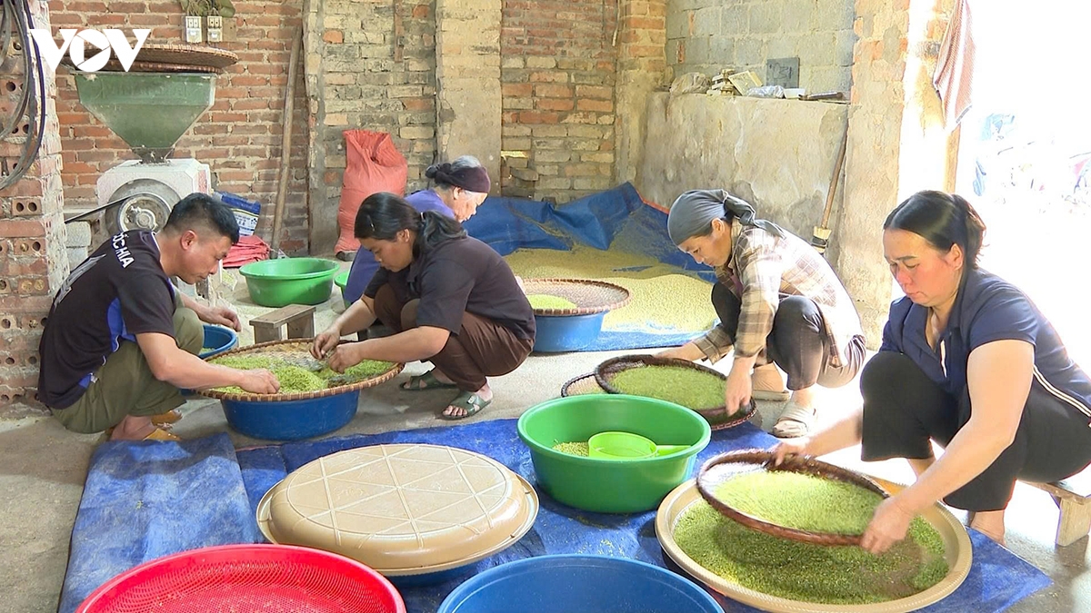 mua com khau nua lech o ngan son hinh anh 2