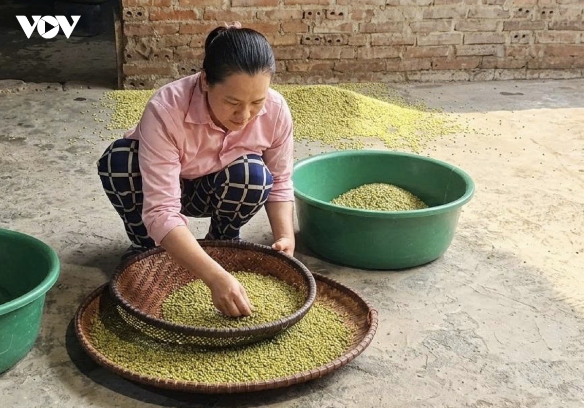 mua com khau nua lech o ngan son hinh anh 3