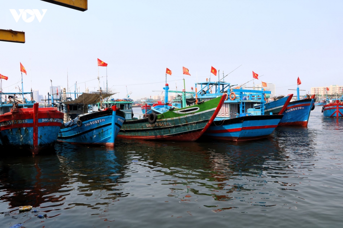 Da nang tang cuong kiem soat, xu ly vi pham khai thac iuu hinh anh 4
