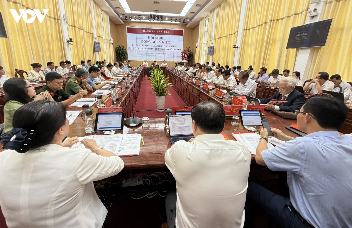 can tho hoan thien co che, chinh sach dac thu tao dong luc phat trien hinh anh 1