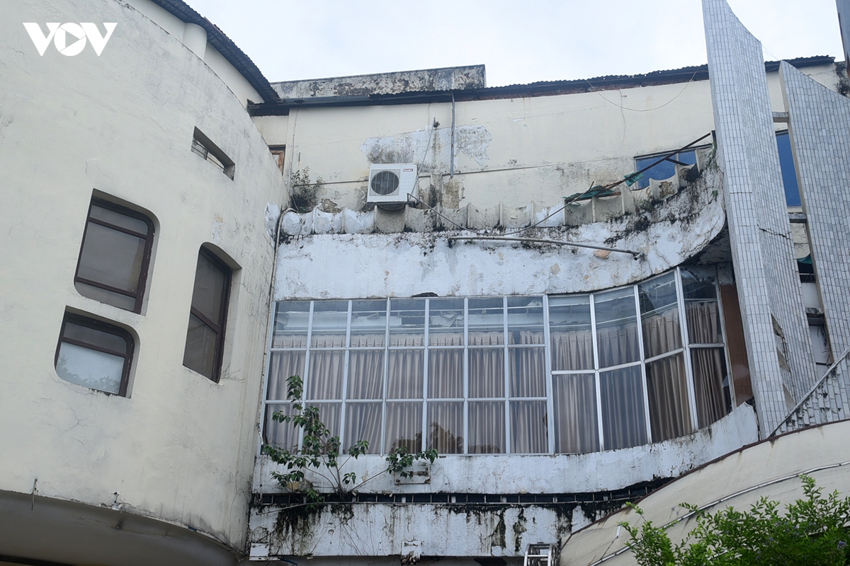 canh diu hiu co dai, la muc trong khuon vien cung thanh nien ha noi hinh anh 8