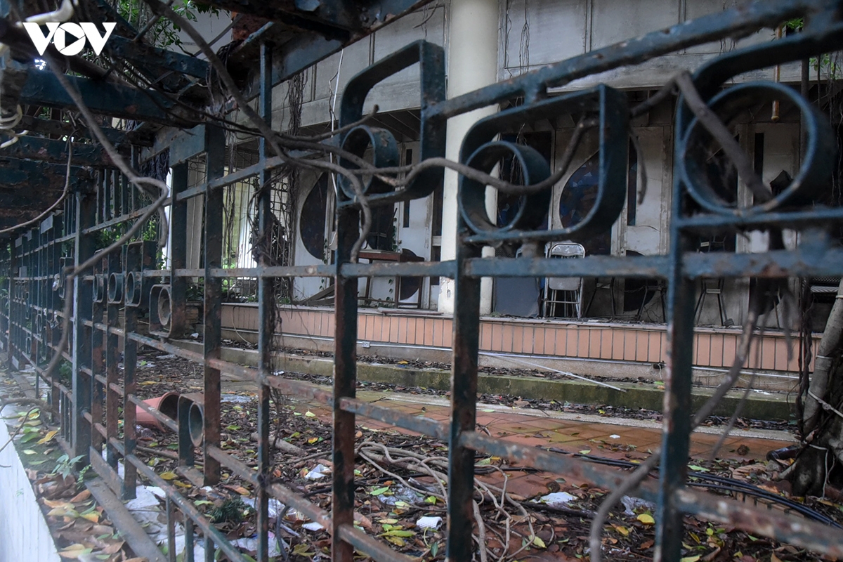 canh diu hiu co dai, la muc trong khuon vien cung thanh nien ha noi hinh anh 11