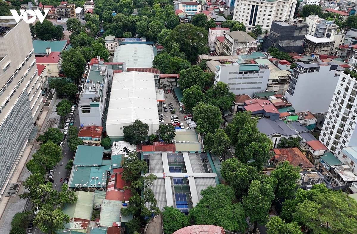 canh diu hiu co dai, la muc trong khuon vien cung thanh nien ha noi hinh anh 6