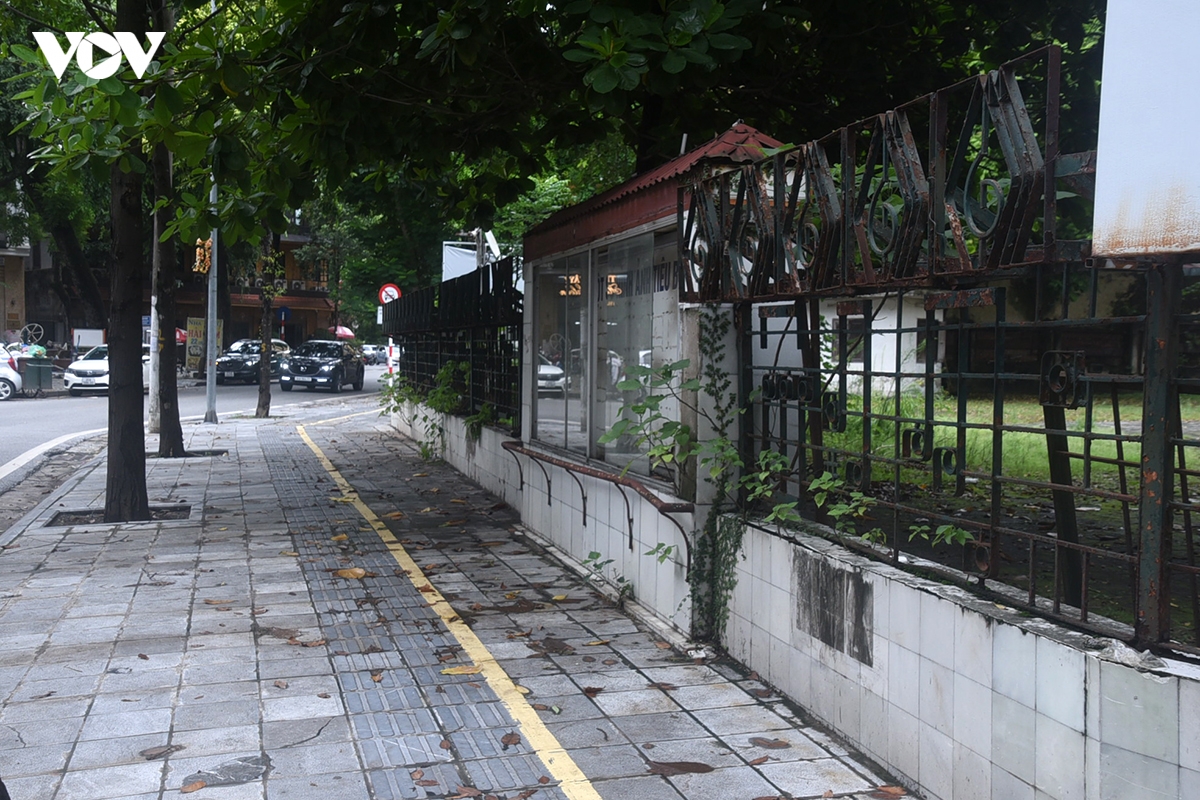 canh diu hiu co dai, la muc trong khuon vien cung thanh nien ha noi hinh anh 5