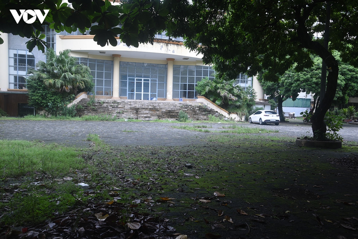 canh diu hiu co dai, la muc trong khuon vien cung thanh nien ha noi hinh anh 3