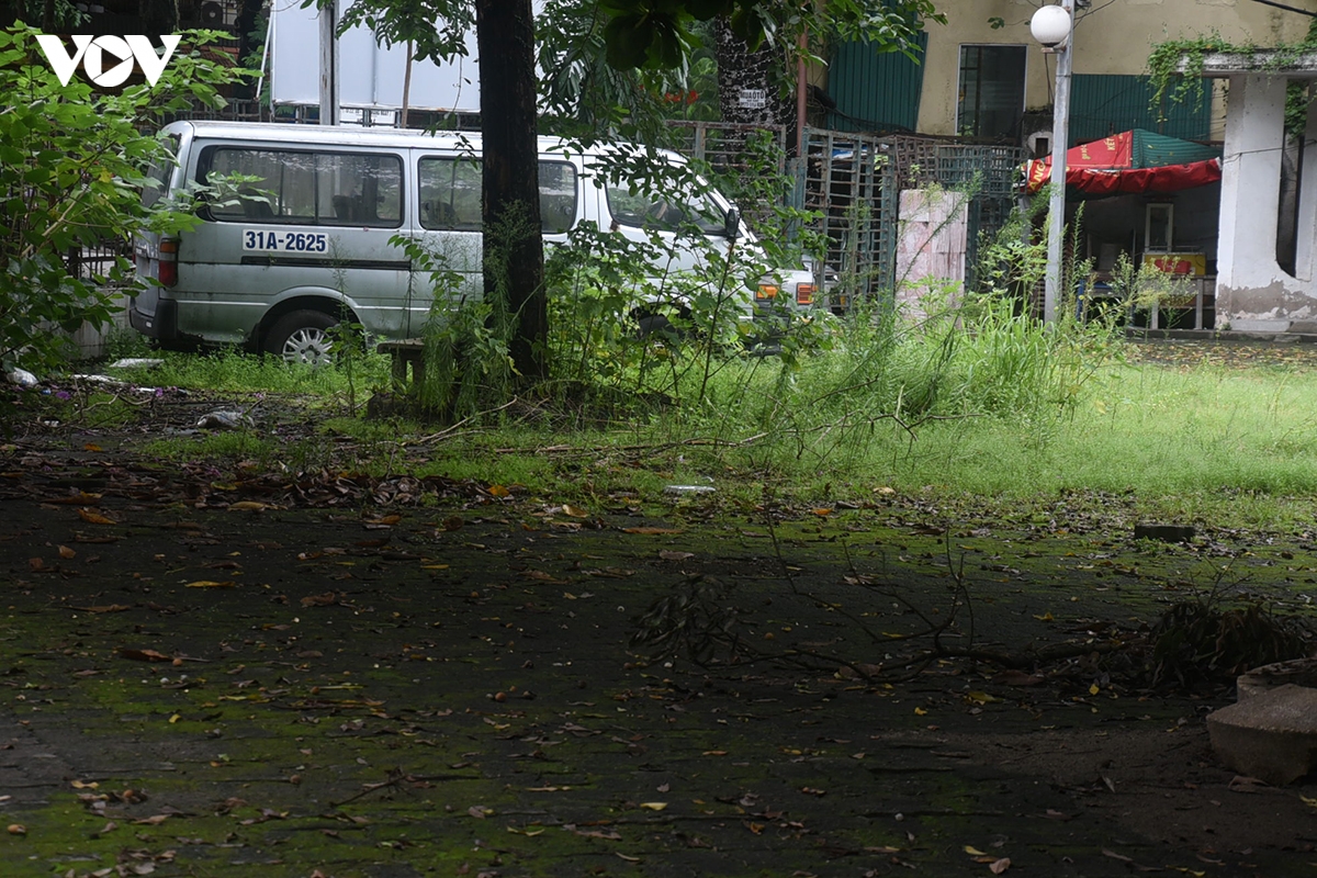 canh diu hiu co dai, la muc trong khuon vien cung thanh nien ha noi hinh anh 9