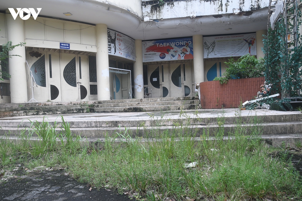 canh diu hiu co dai, la muc trong khuon vien cung thanh nien ha noi hinh anh 4