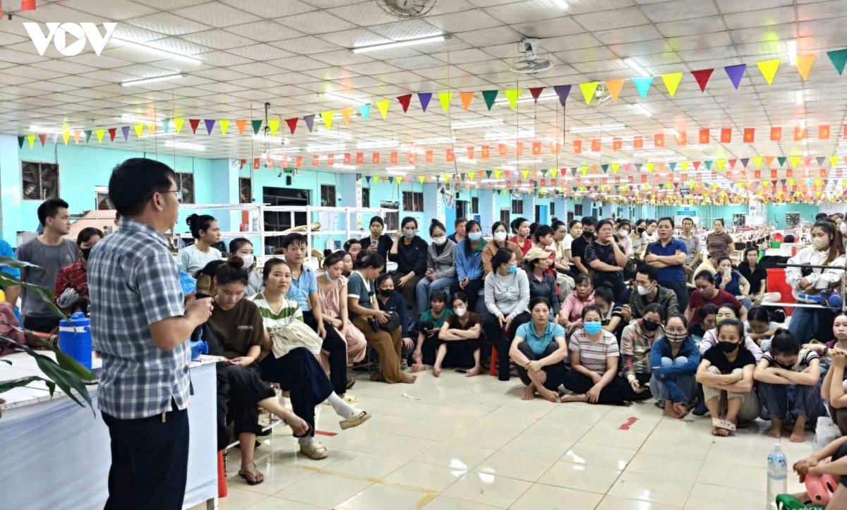 hon 300 cong nhan o quang tri bi no tien luong, giam doc cong ty mat lien lac hinh anh 4