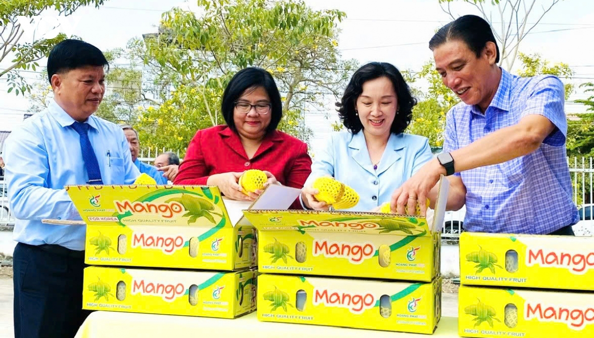 so hoa vung trong, nang suc canh tranh trai cay Dbscl hinh anh 1
