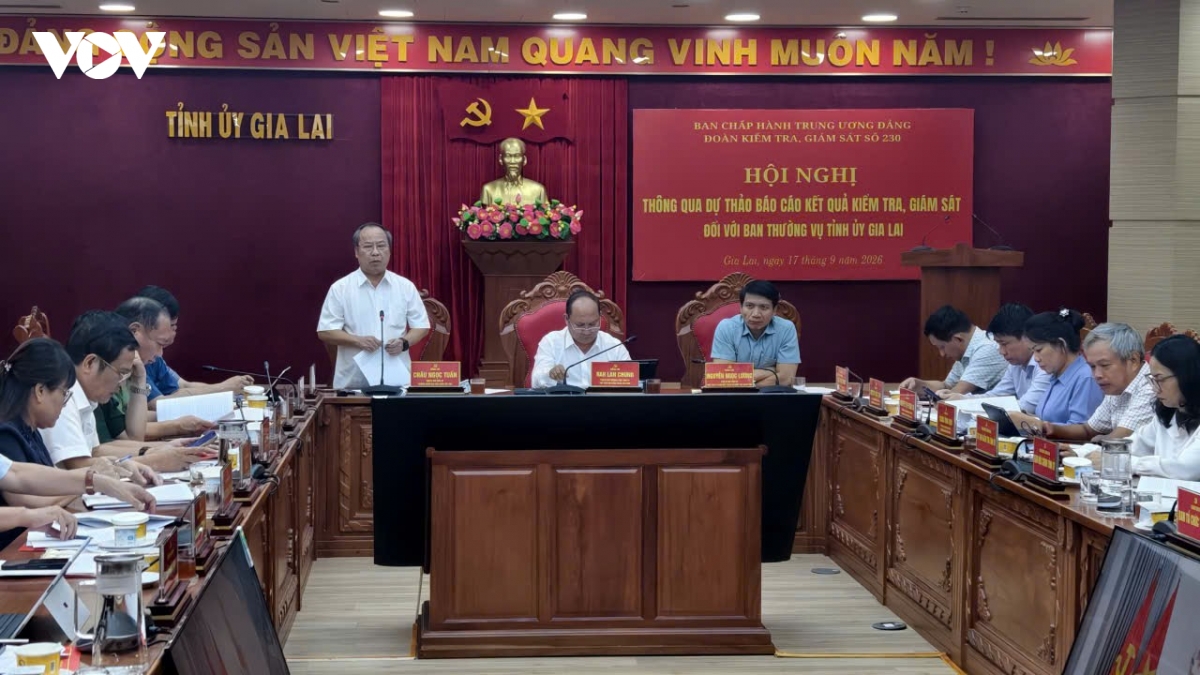 Doan kiem tra, giam sat so 230 lam viec voi ban thuong vu tinh uy gia lai hinh anh 2