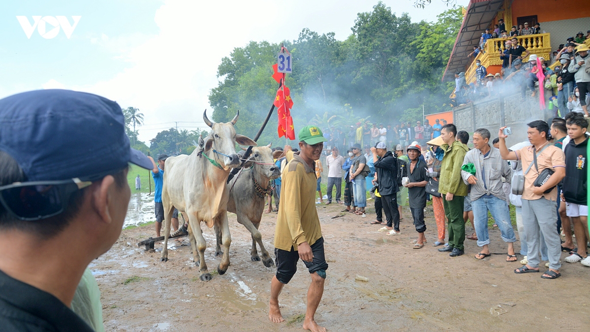 nhung man tranh tai quyet liet tren duong dua hoi dua bo chua ro nam 2026 hinh anh 8