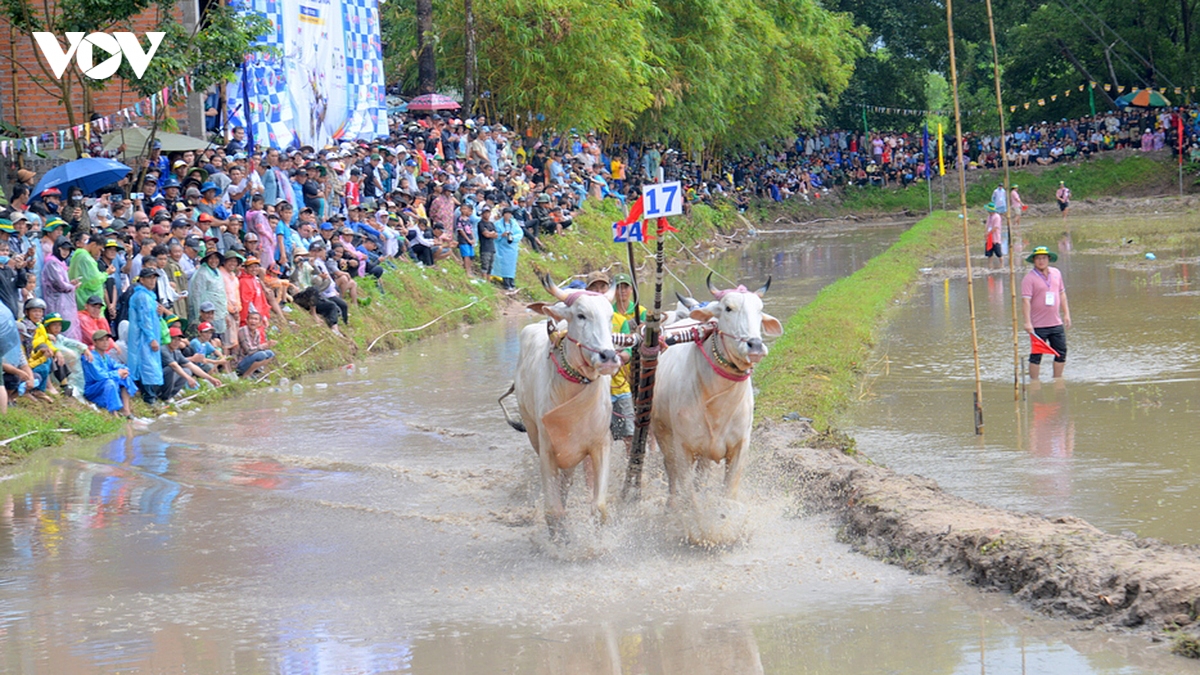 nhung man tranh tai quyet liet tren duong dua hoi dua bo chua ro nam 2026 hinh anh 3