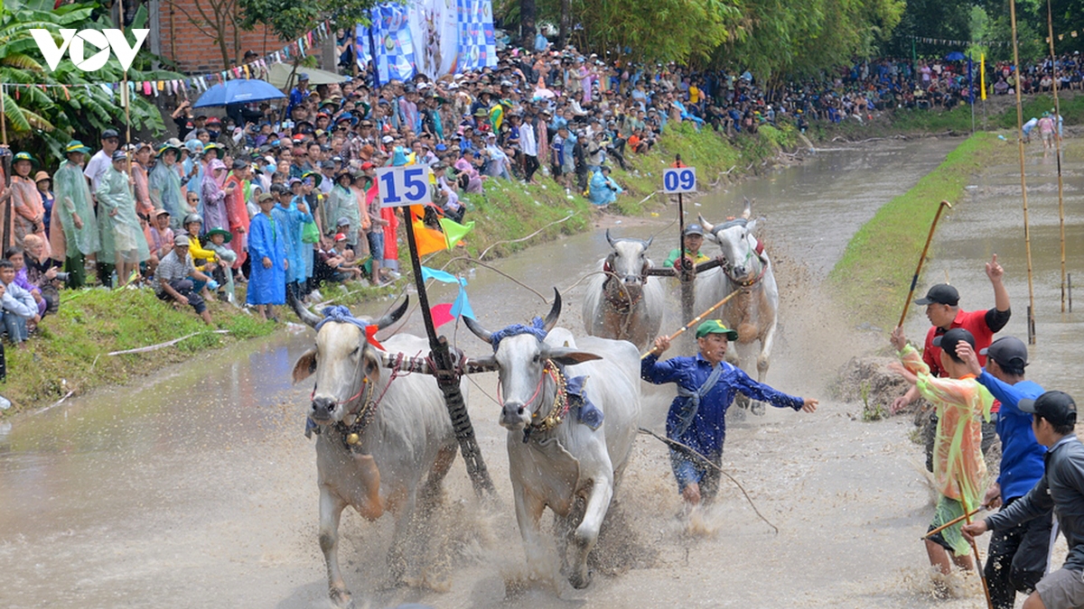 nhung man tranh tai quyet liet tren duong dua hoi dua bo chua ro nam 2026 hinh anh 7