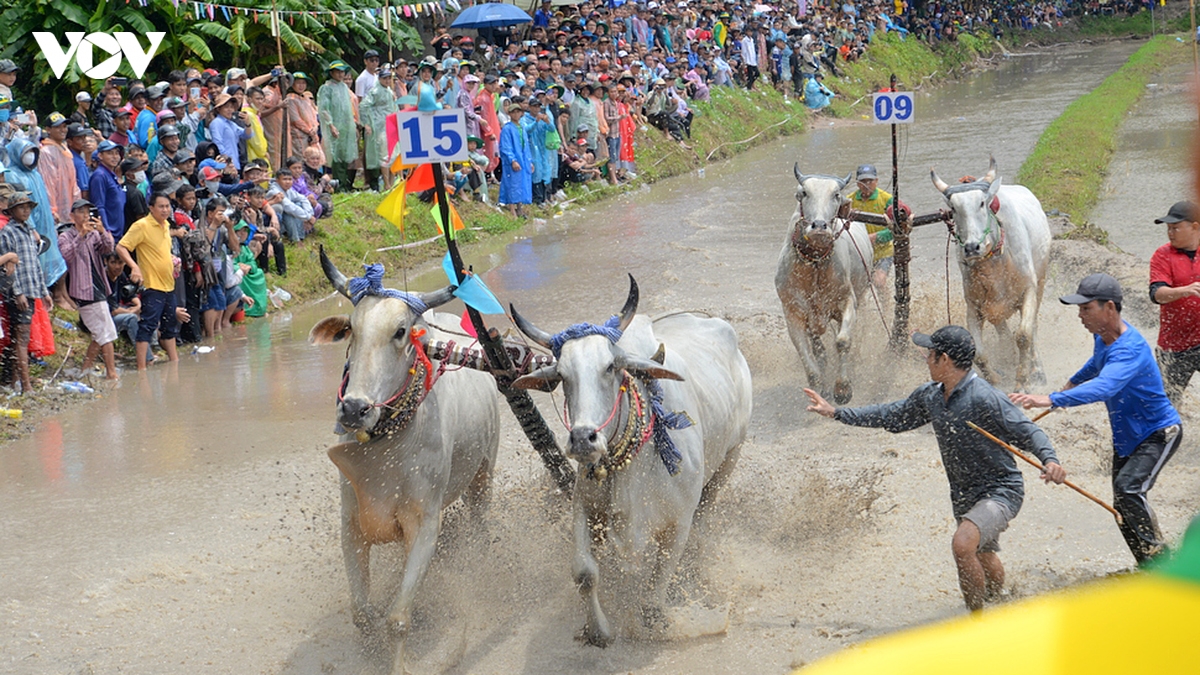 nhung man tranh tai quyet liet tren duong dua hoi dua bo chua ro nam 2026 hinh anh 11