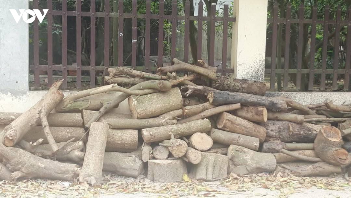 Bảo hiểm xã hội cho người lao động: Nói thêm lần nữa về chuyện biết rồi