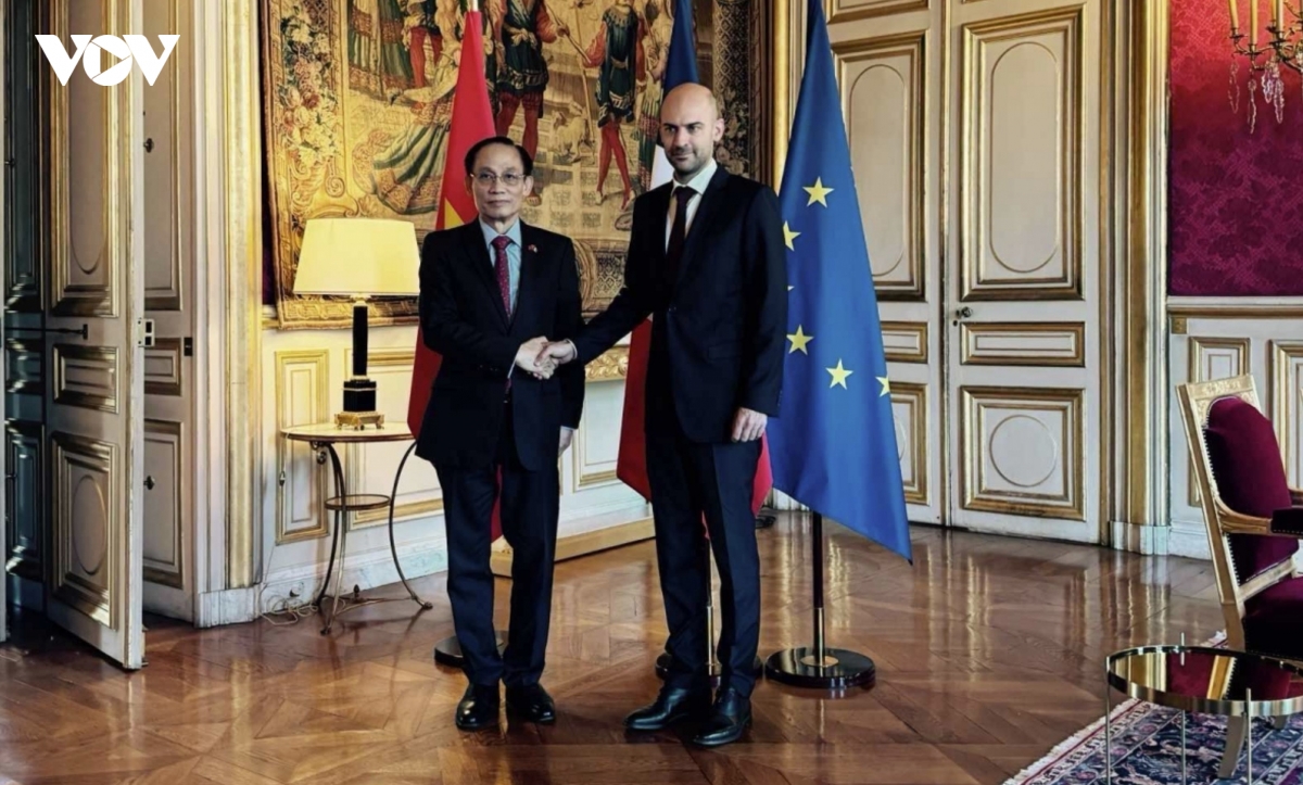 foreign-minister-le-hoai-trung-meets-french-counterpart.jpg