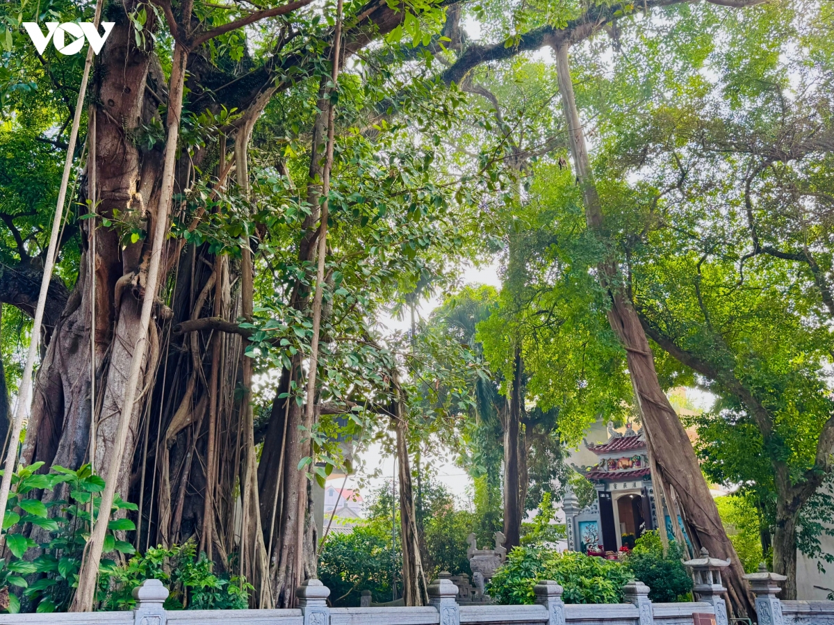 gin giu net dep truyen thong tai lang nghe lam gio cha Uoc le hinh anh 11