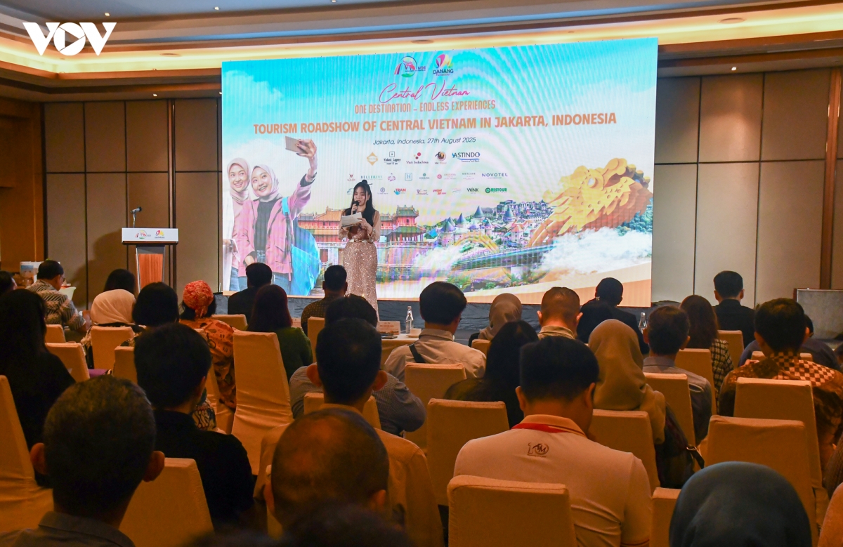khach hoi giao indonesia ua thich diem den nao cua viet nam hinh anh 2