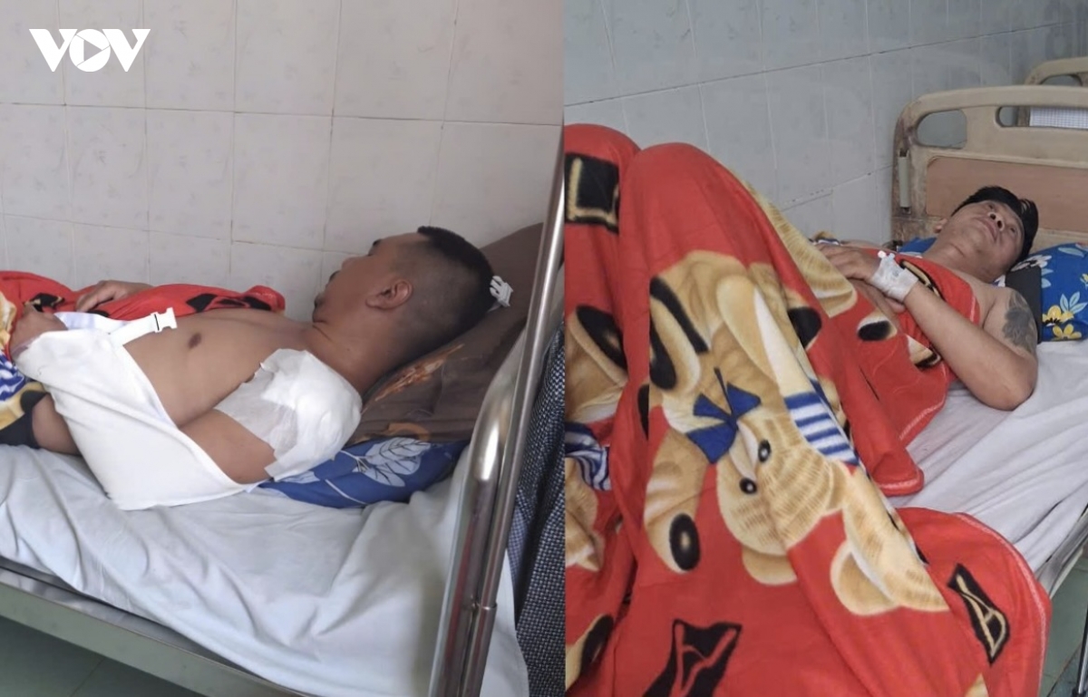 tro lai diem nong tranh chap dat dai tai tieu khu 1535, cong ty long son hinh anh 7