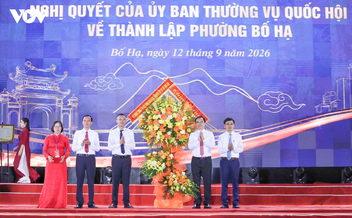 thanh lap phuong bo ha, bac ninh chuyen minh huong toi do thi van minh, hien dai hinh anh 3