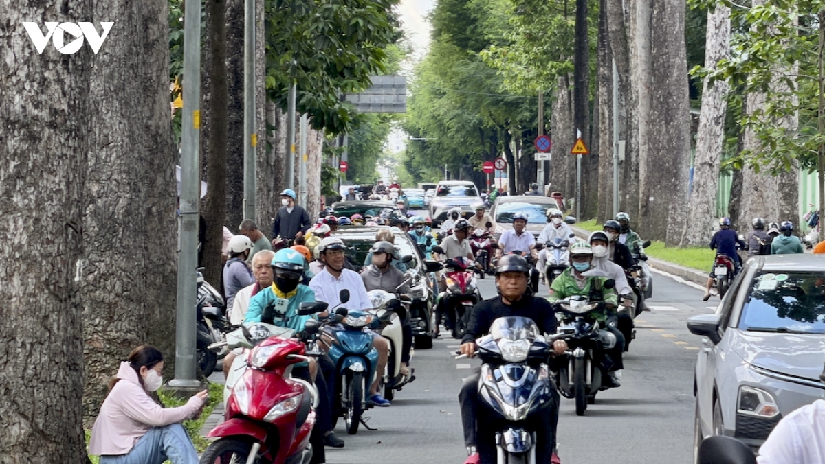 cay co thu mua mua o tp.hcm ngan sach tram ty, moi hoa treo lo lung hinh anh 5