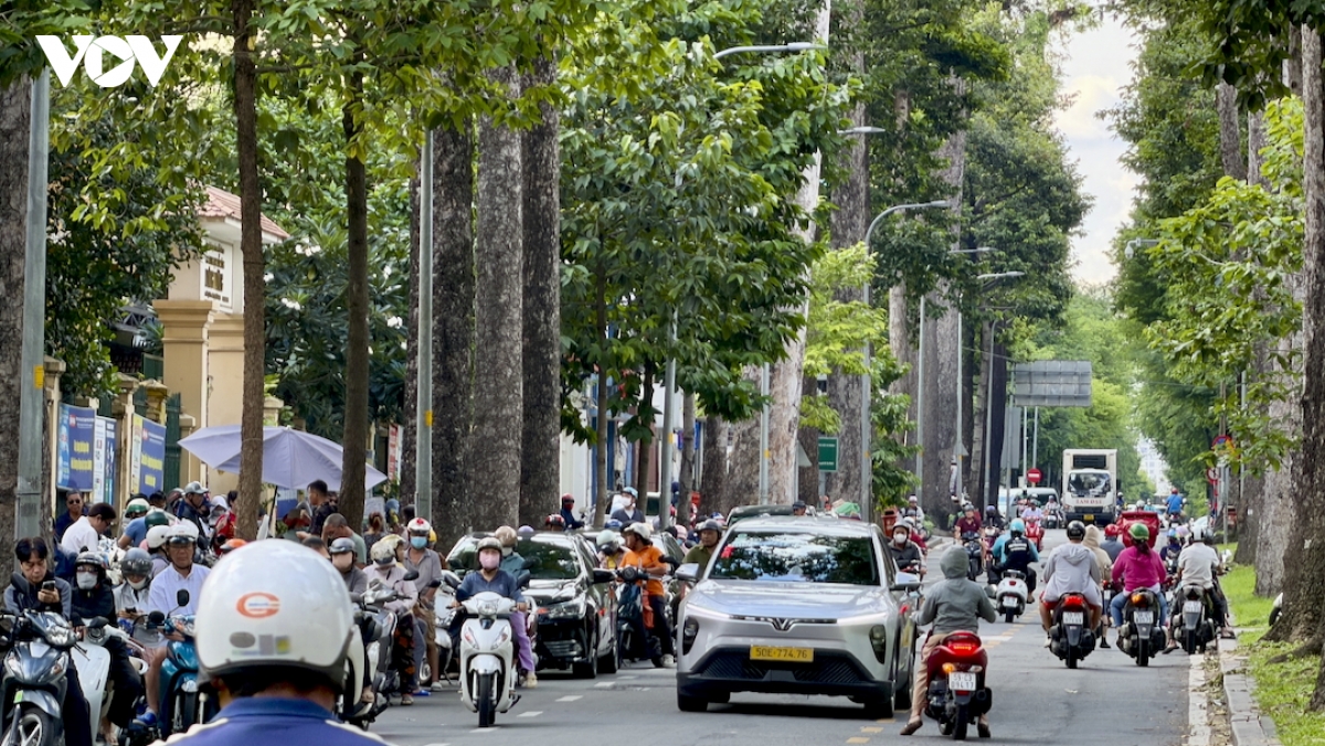 cay co thu mua mua o tp.hcm ngan sach tram ty, moi hoa treo lo lung hinh anh 7