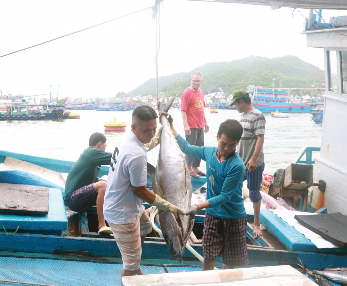 khanh hoa siet chat quan ly, ngan nguy co vi pham iuu hinh anh 2