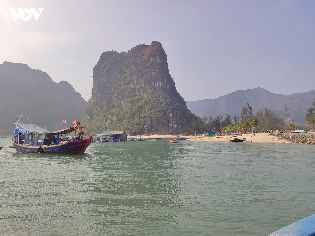 quang ninh lam ro 29 30 truong hop tau ca mat ket noi vms hinh anh 1