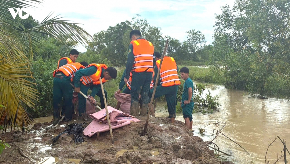khu vuc phia Dong tinh lam Dong tap trung khac phuc hau qua mua lu hinh anh 1