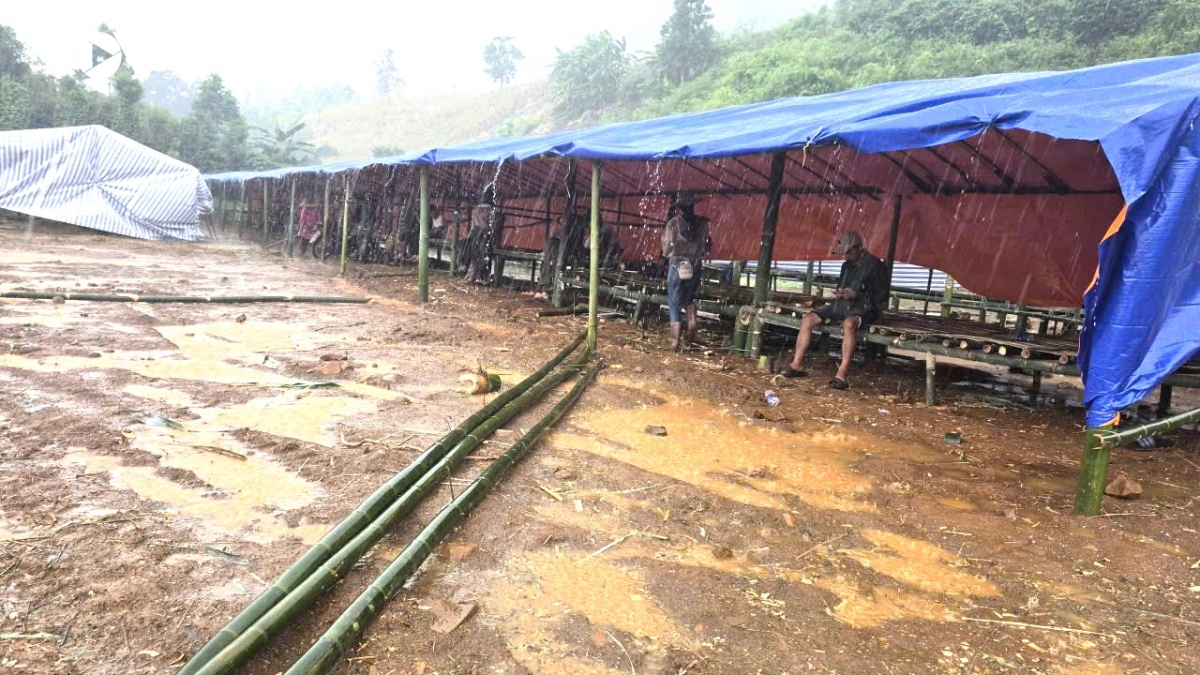 lam Dong di doi 78 ho dan o xa quang son ra khoi khu vuc sat truot hinh anh 3