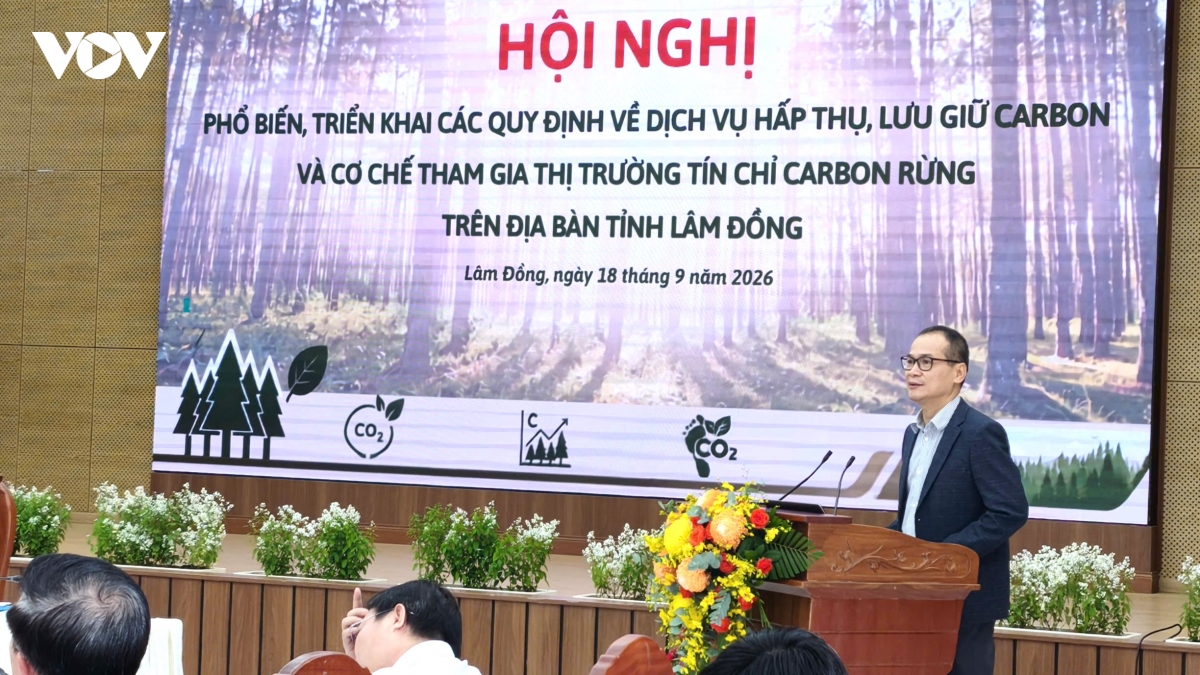 lam Dong trien khai cac quy dinh tham gia thi truong tin chi carbon rung hinh anh 3