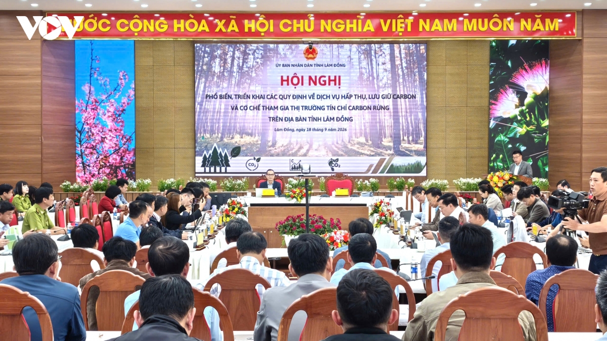 lam Dong trien khai cac quy dinh tham gia thi truong tin chi carbon rung hinh anh 2