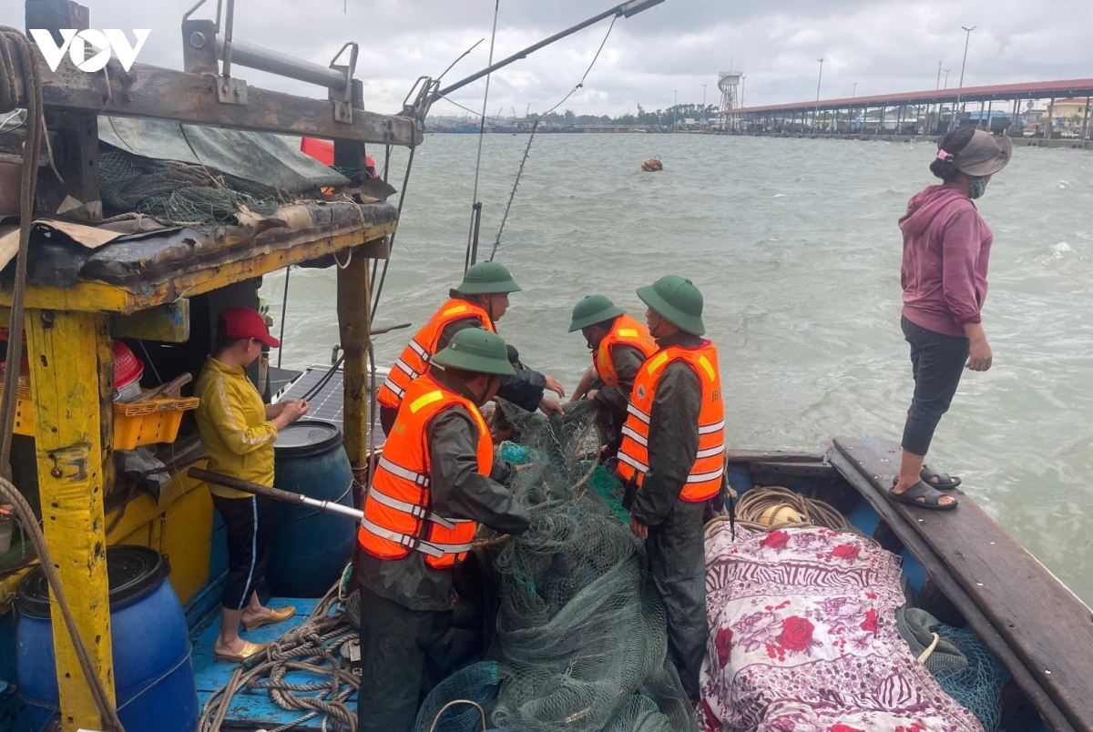 song lon danh chim tau ca tai cang thuan an, hue hinh anh 2