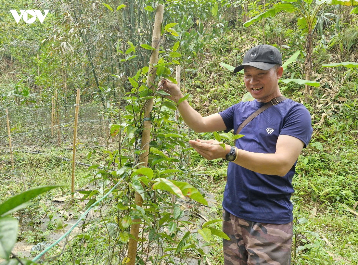 giup nguoi dan vung bien gioi Da nang thoat ngheo hinh anh 1