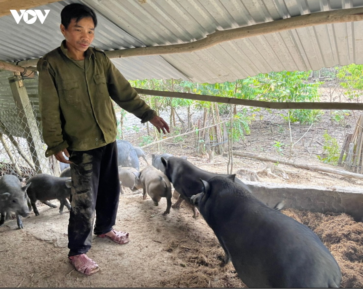 giup nguoi dan vung bien gioi Da nang thoat ngheo hinh anh 3