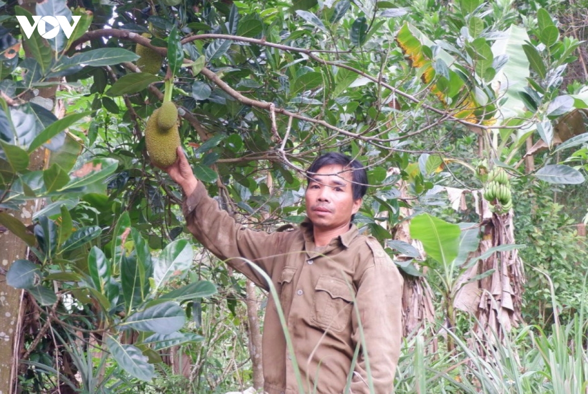 giup nguoi dan vung bien gioi Da nang thoat ngheo hinh anh 4