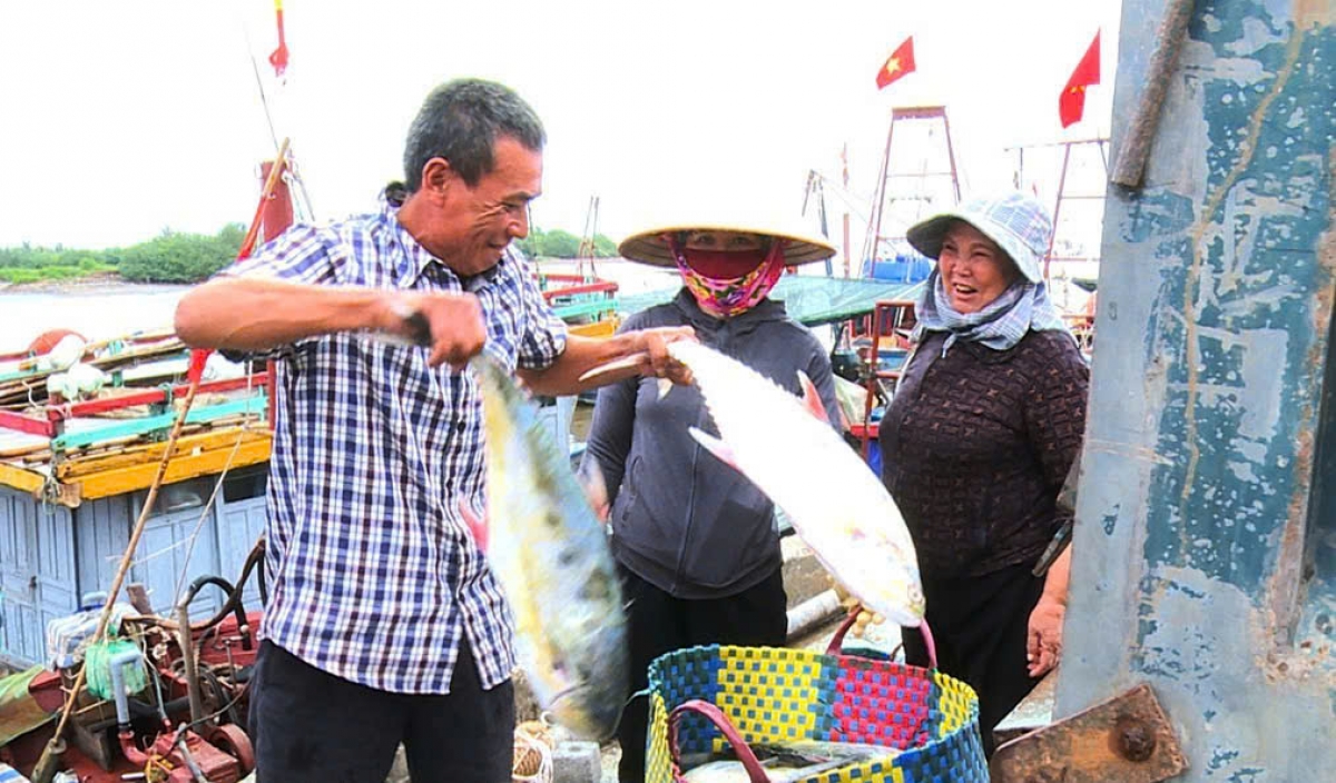 nghi quyet so 20-nq tw phat trien kinh te bien gan voi bao ve chu quyen hinh anh 1