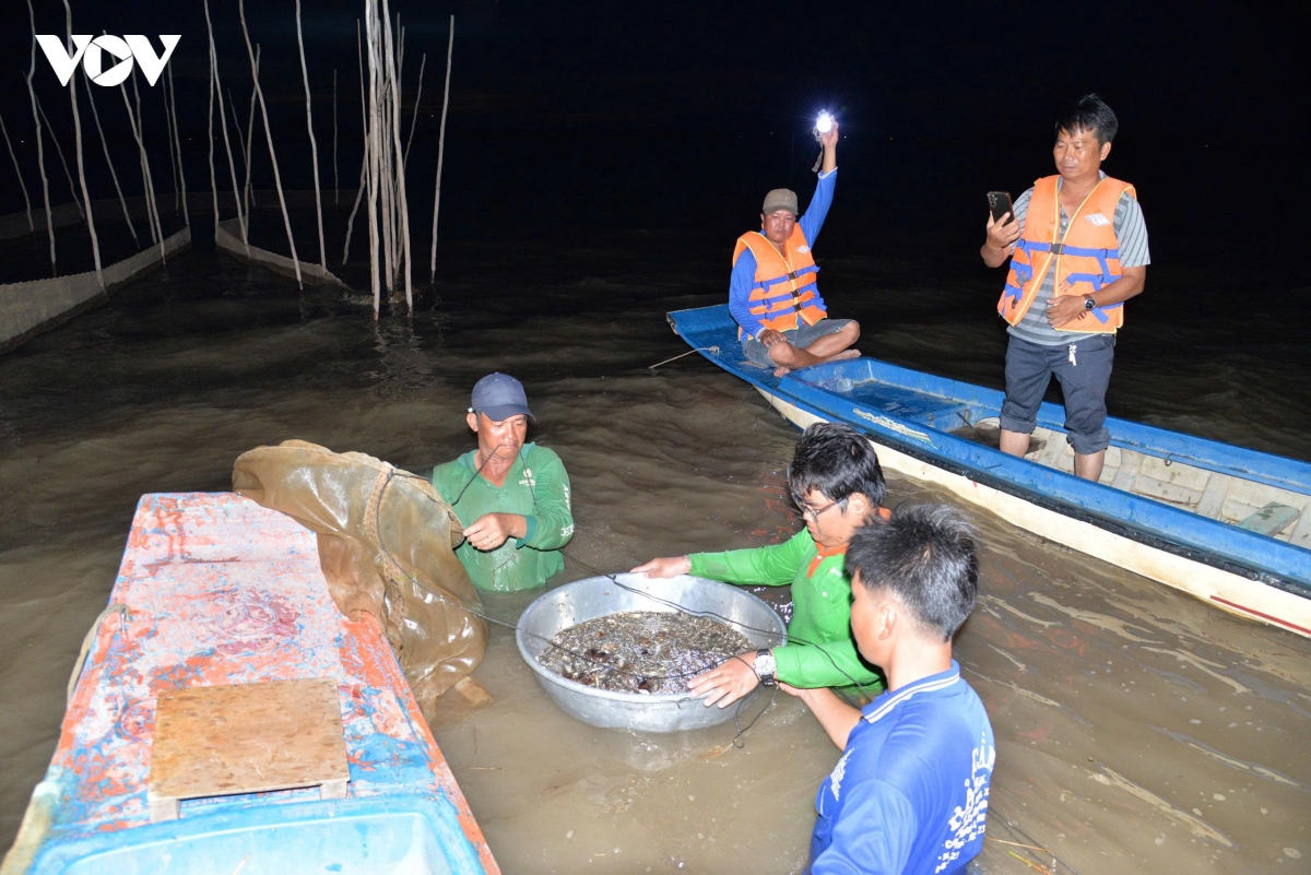 Dong thap canh bao muc nuoc len nhanh theo lu thuong nguon hinh anh 1