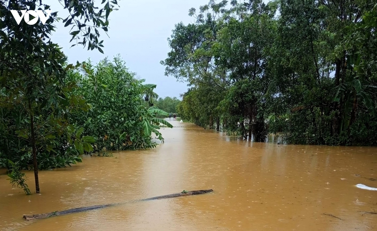 quang tri san sang giup dan ung pho ngap lut, sat lo khi mua lon keo dai hinh anh 1
