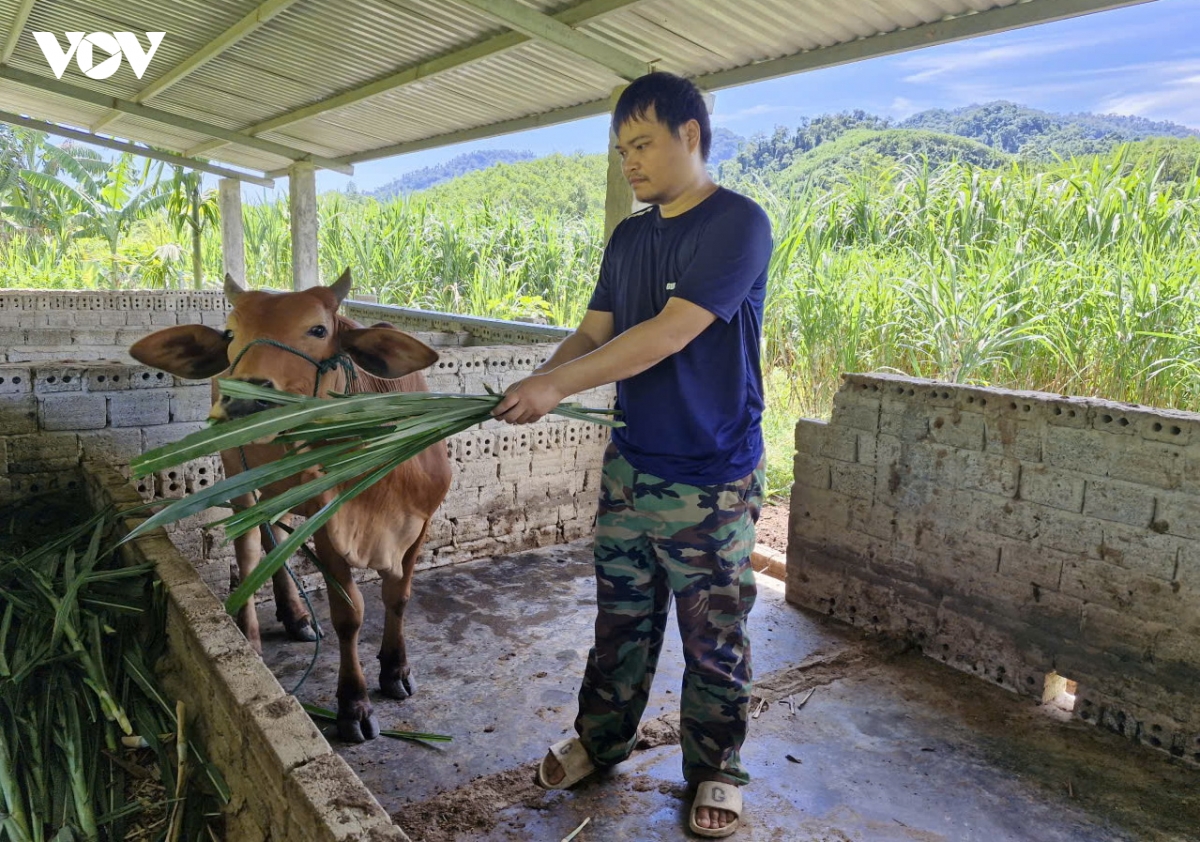 Dong bao co tu mien nui Da nang vuot kho, phat trien kinh te hinh anh 1