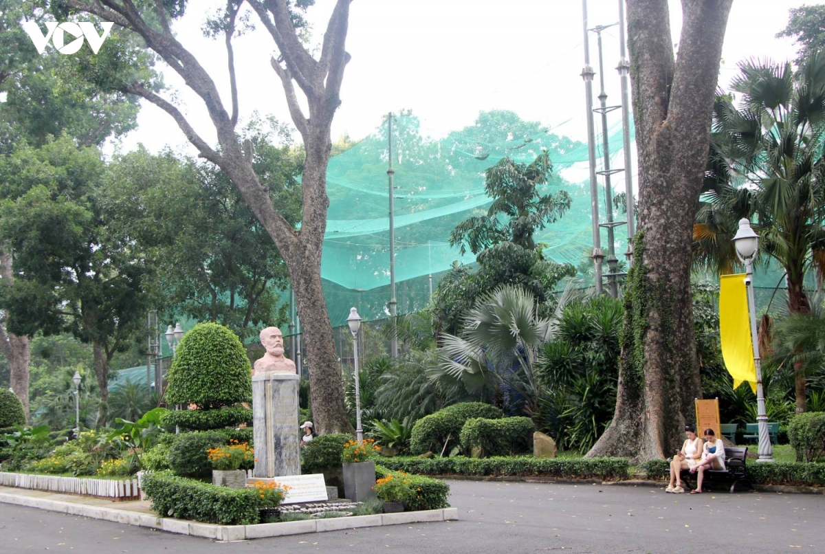 chiem nguong ve dep tram mac cua nhung chung nhan xanh giua long do thi hinh anh 22