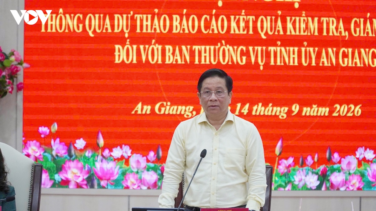 thong qua du thao bao cao kiem tra, giam sat voi ban thuong vu tinh uy an giang hinh anh 2