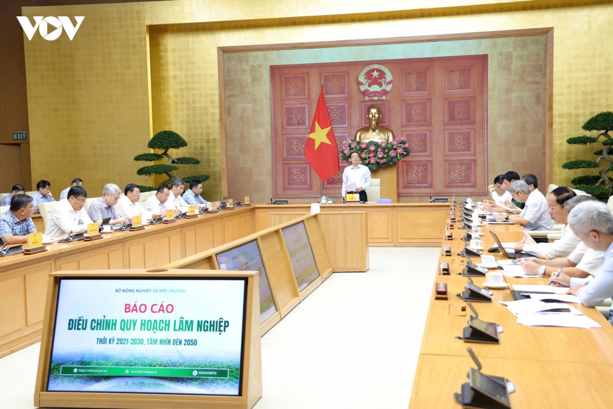 pho thu tuong Dieu chinh quy hoach lam nghiep, khong hop thuc hoa sai pham hinh anh 3
